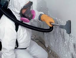 Mold Odor Removal Services in Yoakum, TX